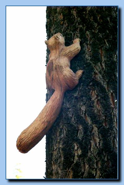 2-33 squirrel attached-archive